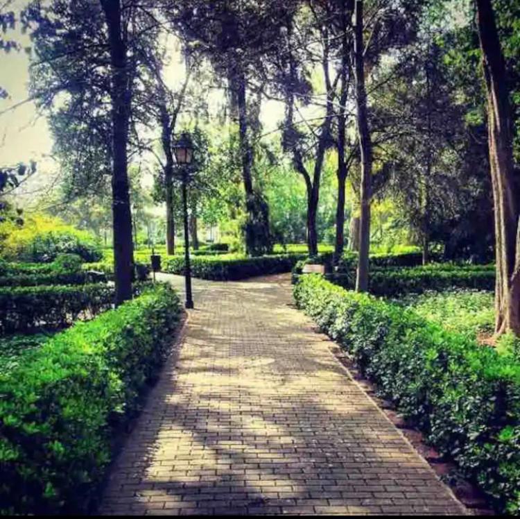 ולנסיה Lovely Apartment Near Beach & Science City מראה חיצוני תמונה
